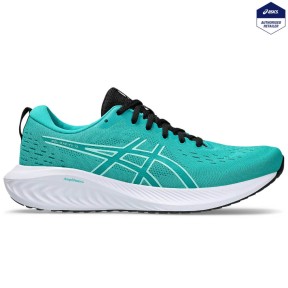 Asics Gel-Excite 10 Running Shoes - Men's