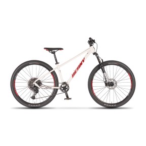Beany Blaster 26" Kids Bike