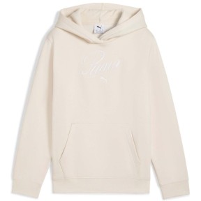 Puma Essentials Script Youth Hoodie, snow