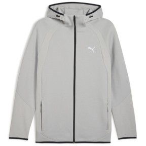 Puma Evostripe Men's Hoodie, grey echo