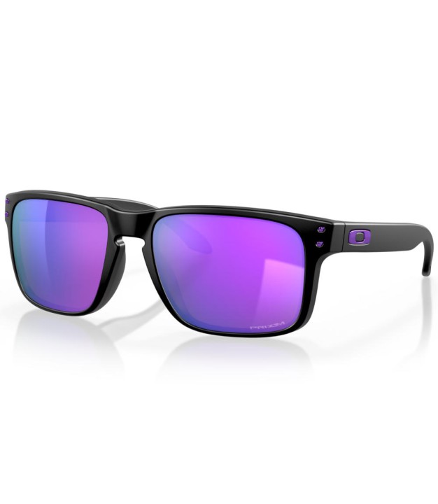 Oakley Holbrook, black-prizm violet Lenses